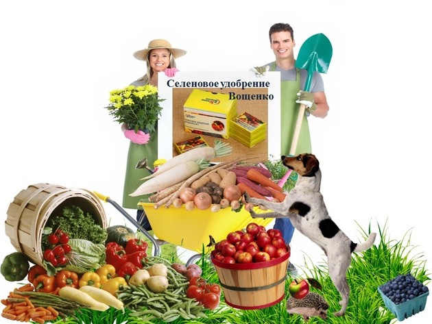 Селеновое минеральное удобрение Вощенко для овощей и фруктов